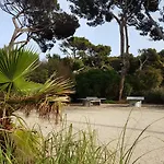 Ecrins De La Badine- Pinede 히에레