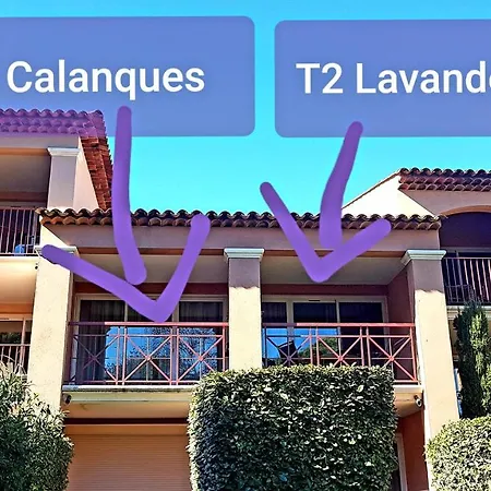 Ecrins De La Badine- Pinede